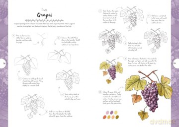 10 Step Drawing: Botanicals: Draw over 50 plants in 10 easy steps [KOMIKS]