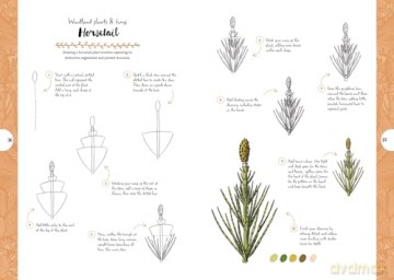 10 Step Drawing: Botanicals: Draw over 50 plants in 10 easy steps [KOMIKS]