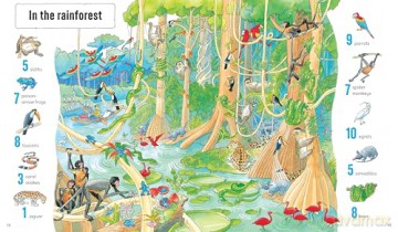 1001 Animals to Spot [KSIĄŻKA]