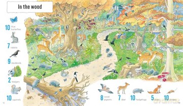 1001 Animals to Spot [KSIĄŻKA]
