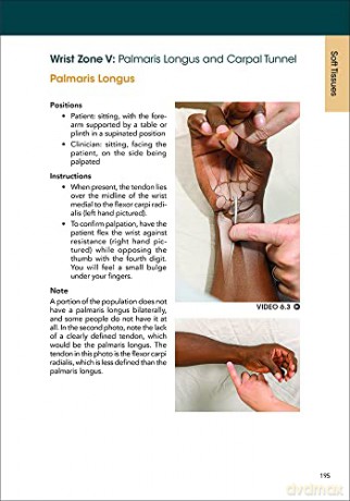 A Clinical Guide to Surface Palpation: The Art and Science of the Perfect Touch [KSIĄŻKA]