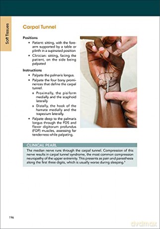 A Clinical Guide to Surface Palpation: The Art and Science of the Perfect Touch [KSIĄŻKA]