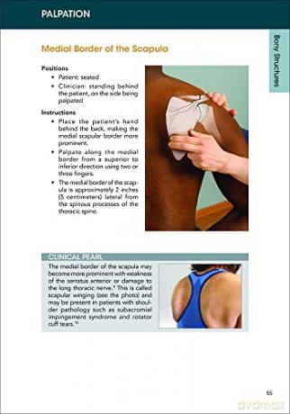 A Clinical Guide to Surface Palpation: The Art and Science of the Perfect Touch [KSIĄŻKA]