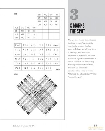 A Compendium of Meta-Puzzles: 20+ Extravaganzas to Untangle-Without Instructions [KSIĄŻKA]