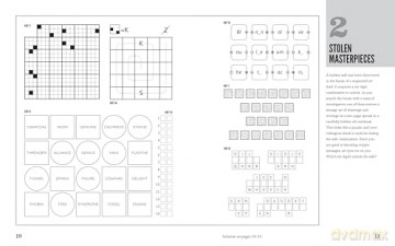 A Compendium of Meta-Puzzles: 20+ Extravaganzas to Untangle-Without Instructions [KSIĄŻKA]