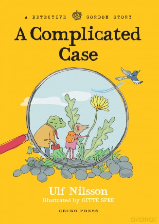 A Complicated Case [KSIĄŻKA]