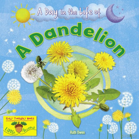 A Dandelion [KSIĄŻKA]