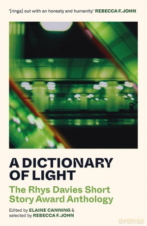 A Dictionary of Light - The Rhys Davies Short Story Award Anthology: 4 [KSIĄŻKA]
