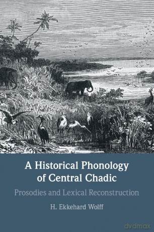 A Historical Phonology of Central Chadic: Prosodies and Lexical Reconstruction [KSIĄŻKA]