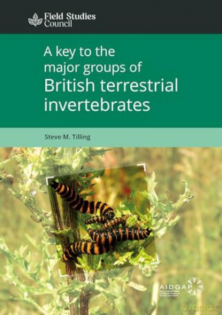A Key to the Major Groups of Terrestrial Invertebrates [KSIĄŻKA]