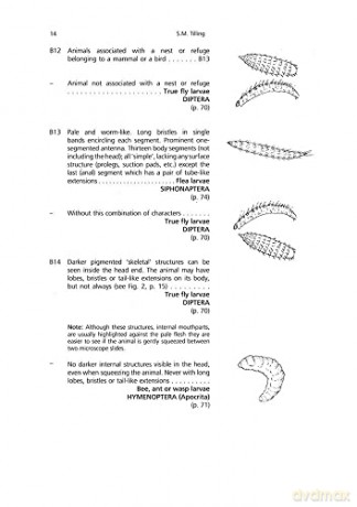 A Key to the Major Groups of Terrestrial Invertebrates [KSIĄŻKA]