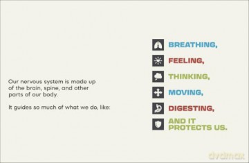 A Kids Book About Nervous System Regulation [KSIĄŻKA]