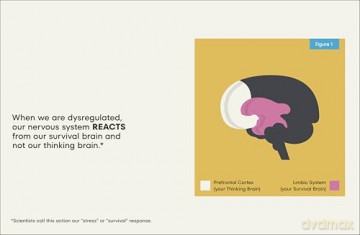 A Kids Book About Nervous System Regulation [KSIĄŻKA]
