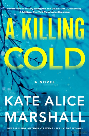 A Killing Cold: A Novel [KSIĄŻKA]