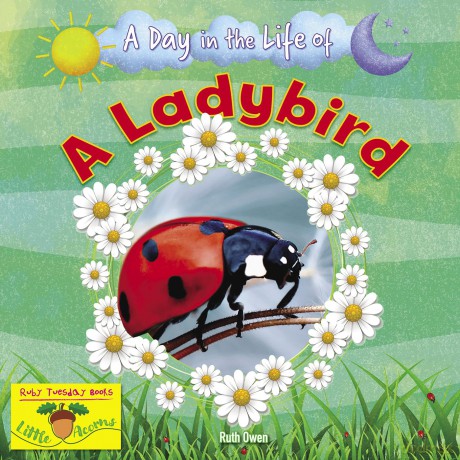 A Ladybird [KSIĄŻKA]