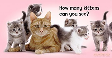 A Little Box of Baby Animals: Six Cute Boardbooks Packed with Pictures! [KSIĄŻKA]
