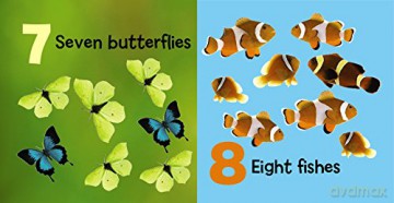 A Little Box of Baby Animals: Six Cute Boardbooks Packed with Pictures! [KSIĄŻKA]