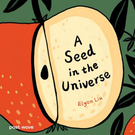 A Seed in the Universe [KSIĄŻKA]