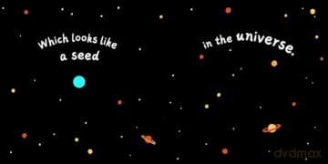 A Seed in the Universe [KSIĄŻKA]