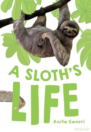 A Sloth's Life: Fluency 7 [KSIĄŻKA]