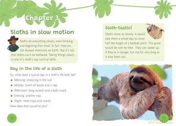A Sloth's Life: Fluency 7 [KSIĄŻKA]