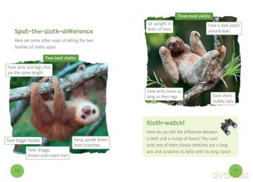 A Sloth's Life: Fluency 7 [KSIĄŻKA]