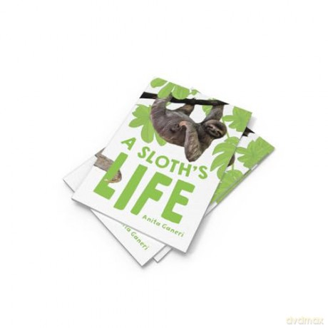 A Sloth's Life: Fluency 7 [KSIĄŻKA]