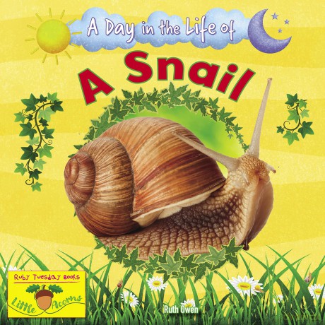 A Snail [KSIĄŻKA]