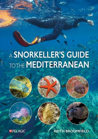 A Snorkeller's Guide to the Mediterranean: A photographic ID guide to the most commonly encountered marine species [KSIĄŻKA]