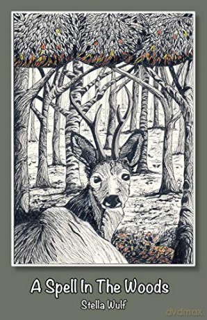 A Spell in The Woods [KSIĄŻKA]