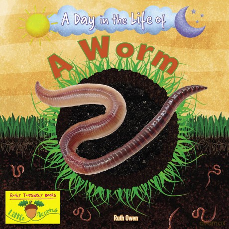A Worm [KSIĄŻKA]