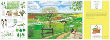 A Year in Nature: Explore the Countryside, Month by Month [KSIĄŻKA]