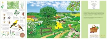 A Year in Nature: Explore the Countryside, Month by Month [KSIĄŻKA]