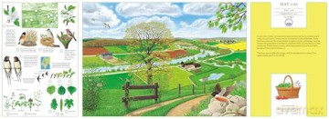 A Year in Nature: Explore the Countryside, Month by Month [KSIĄŻKA]