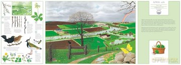 A Year in Nature: Explore the Countryside, Month by Month [KSIĄŻKA]