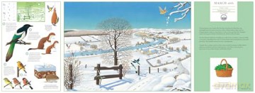 A Year in Nature: Explore the Countryside, Month by Month [KSIĄŻKA]