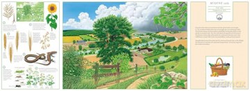 A Year in Nature: Explore the Countryside, Month by Month [KSIĄŻKA]