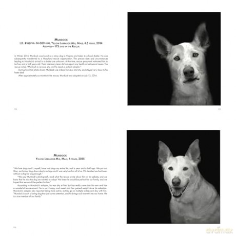 Abandoned: Chronicling the Journeys of Once-Forsaken Dogs [KSIĄŻKA]