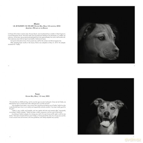Abandoned: Chronicling the Journeys of Once-Forsaken Dogs [KSIĄŻKA]