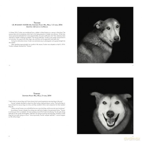 Abandoned: Chronicling the Journeys of Once-Forsaken Dogs [KSIĄŻKA]