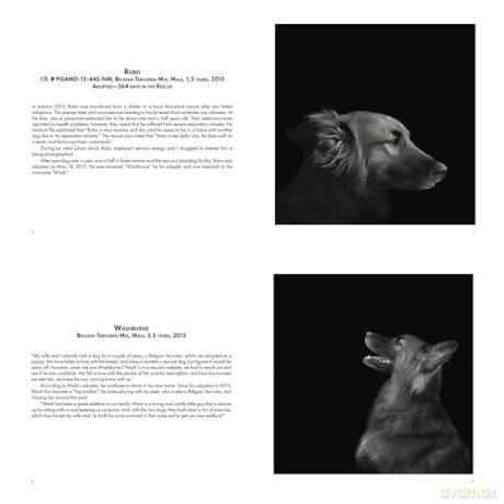 Abandoned: Chronicling the Journeys of Once-Forsaken Dogs [KSIĄŻKA]