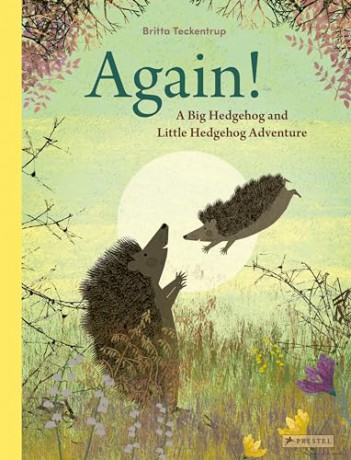 Again!: A Big Hedgehog and Little Hedgehog Adventure [KSIĄŻKA]