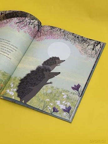 Again!: A Big Hedgehog and Little Hedgehog Adventure [KSIĄŻKA]