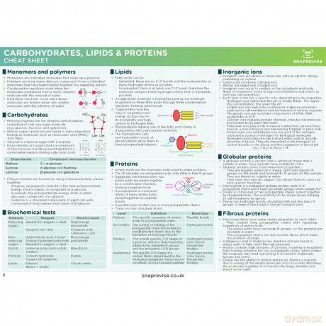 A-Level OCR Biology Summary Sheets [KSIĄŻKA]