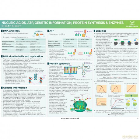A-Level OCR Biology Summary Sheets [KSIĄŻKA]