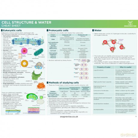 A-Level OCR Biology Summary Sheets [KSIĄŻKA]