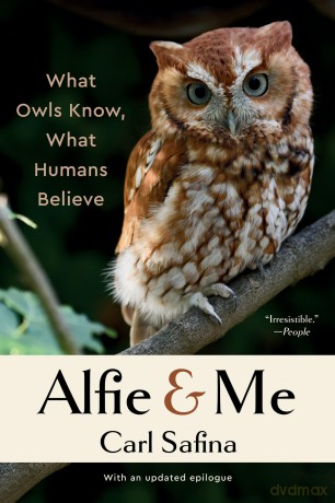 Alfie and Me: What Owls Know, What Humans Believe [KSIĄŻKA]