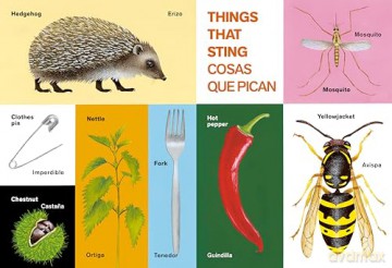 All Kinds of Things/Todo tipo de cosas [KSIĄŻKA]