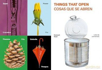All Kinds of Things/Todo tipo de cosas [KSIĄŻKA]