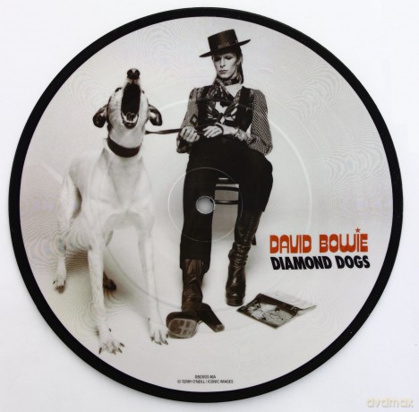 David Bowie: Diamond Dogs - 40th Anniversary 7' Picture Disc [WINYL]